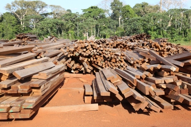 ExCiteS - Logging in the Congo-Brazzaville